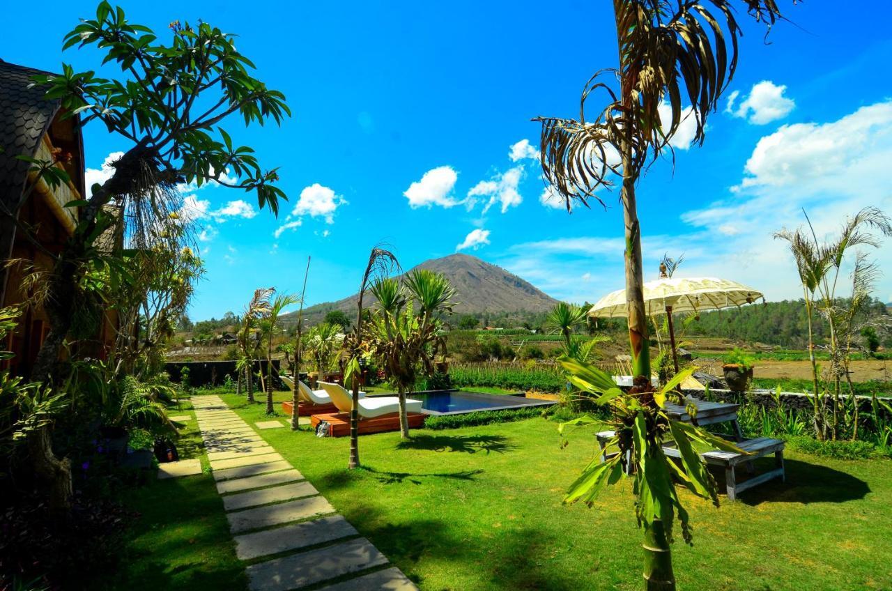 Batur Panorama Bed & Breakfast กินตามานี ภายนอก รูปภาพ